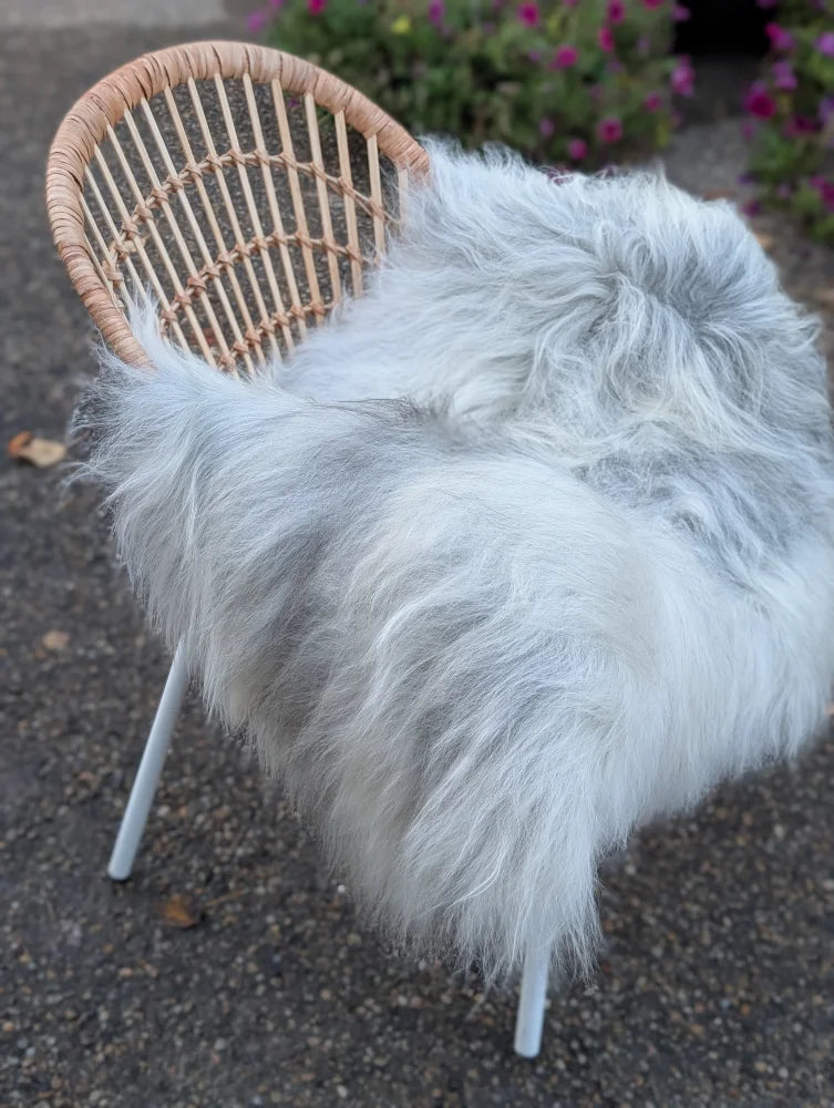 A plush long wool icelandic grey sheepskin throw draped over a wicker chair perfect for cozy living spaces