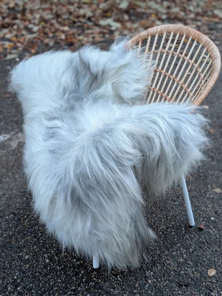 A plush grey icelandic sheepskin throw draped over a wicker chair showcasing long wool icelandic texture