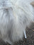 A fluffy long-haired dog on a grey icelandic sheepskin wool rug ice73 56 by 31 inches natural grey long wool icelandic