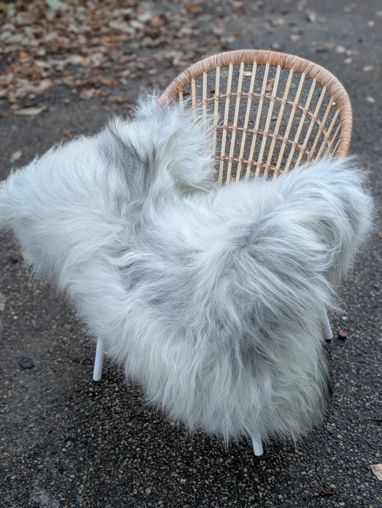 Fluffy white and grey icelandic sheepskin cover draped over wicker chair made of long wool icelandic sheepskins