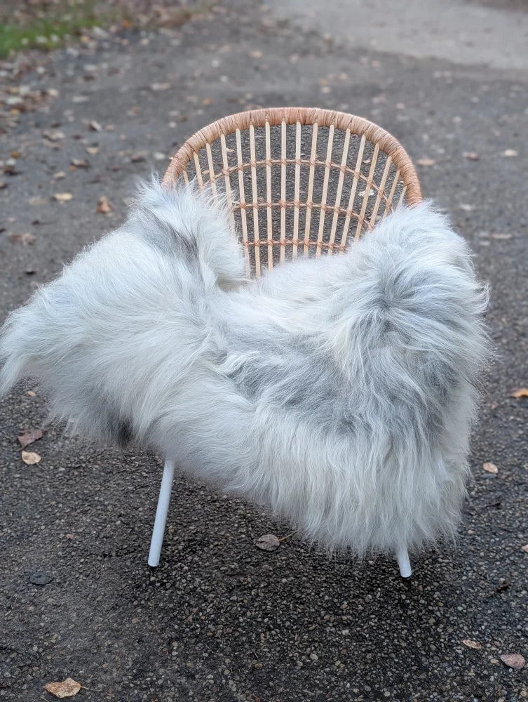 A cozy wool icelandic sheepskin in natural grey draped over a wicker chair with slender white legs
