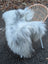 A plush light gray wool icelandic sheepskin throw draped over a wicker chair showcasing long wool icelandic texture