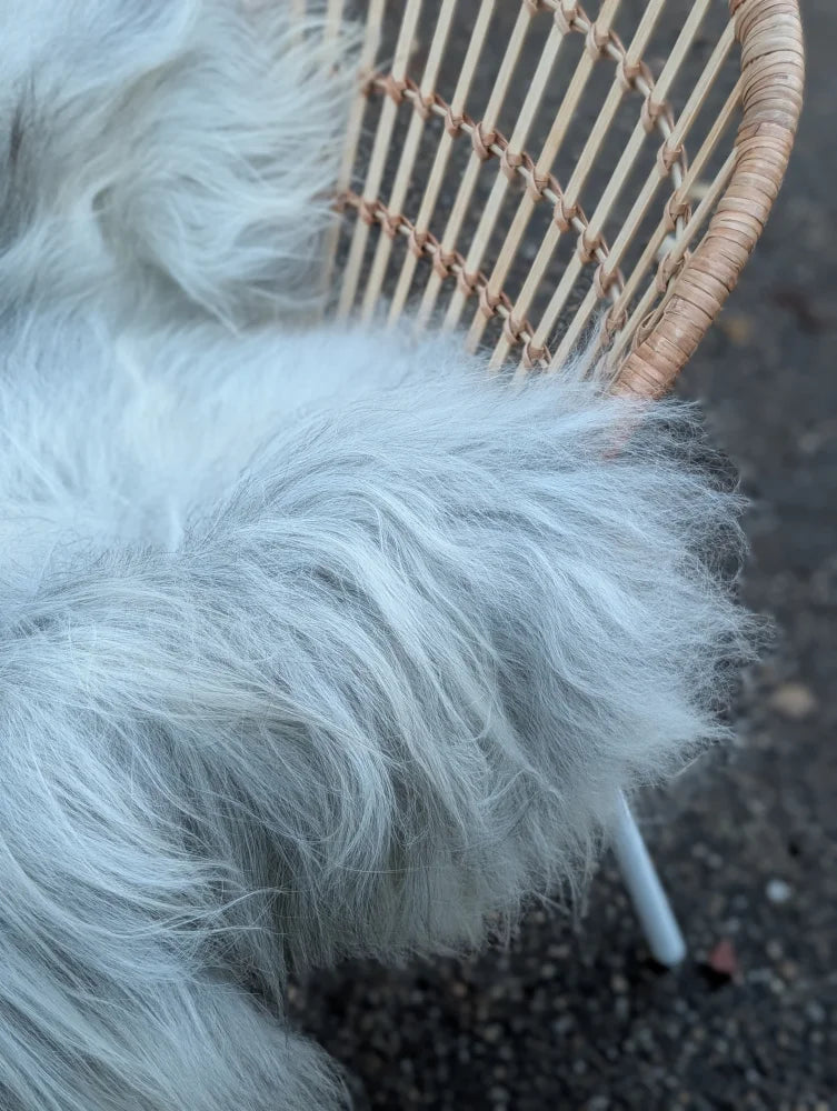 White fluffy grey icelandic sheepskin chair cover with long wool and natural soft texture for cozy seating