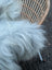 White fluffy grey icelandic sheepskin chair cover with long wool and natural soft texture for cozy seating