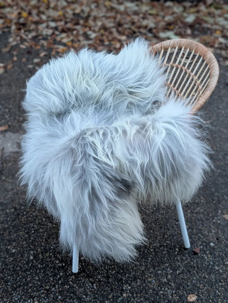 A fluffy grey icelandic sheepskin rug draped over a wicker chair with white metal legs perfect for cozy decor