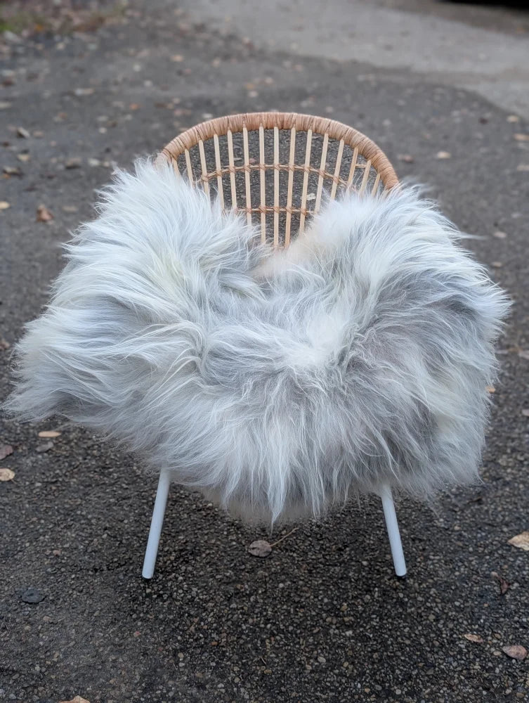 A cozy grey icelandic sheepskin throw made of long wool icelandic material draped over a wicker chair with white legs