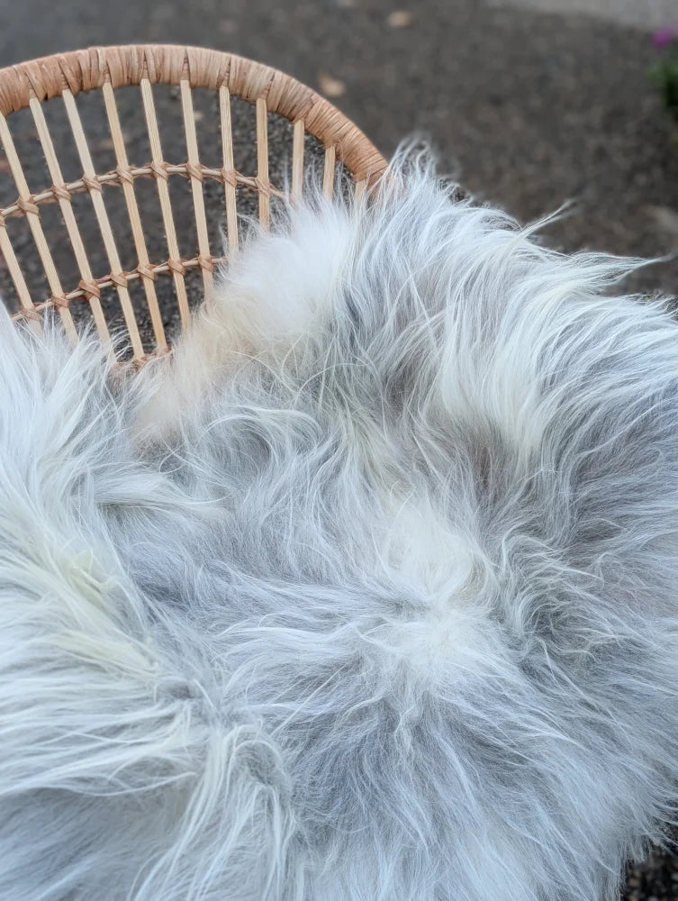 A plush long wool icelandic sheepskin throw in soft white and natural grey perfect for cozy decor