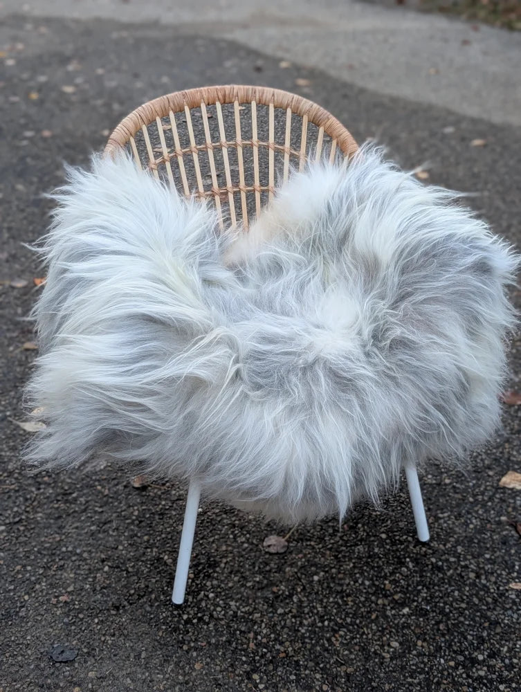 A cozy white sheepskin chair with woven wicker back and metal legs featuring long wool grey icelandic sheepskin