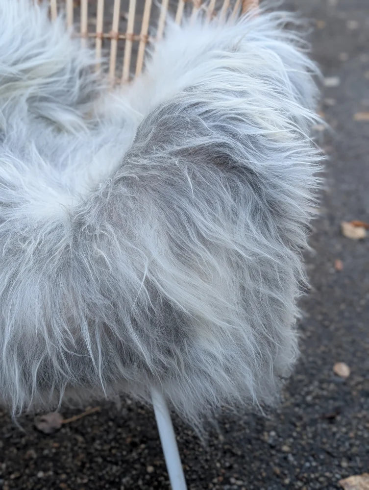 A fluffy long wool icelandic sheepskin in natural grey with a soft shaggy coat for cozy home decor