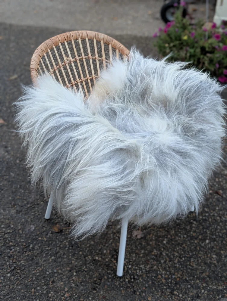 A plush long wool icelandic sheepskin in natural grey draped over a wicker chair with white metal legs