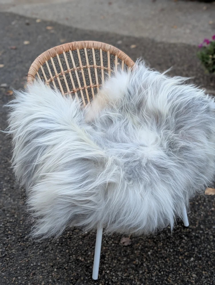A fluffy grey icelandic sheepskin wool throw draped over a wicker chair with slender metal legs for cozy decor