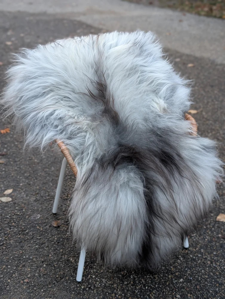 A plush 56 x 35 grey icelandic sheepskin rug with long wool draped over a chair for cozy decor