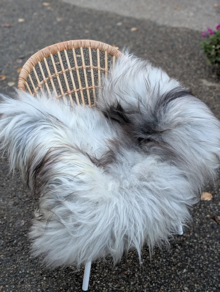 A fluffly grey icelandic sheepskin throw draped over a wicker chair showcasing long wool icelandic sheepskins