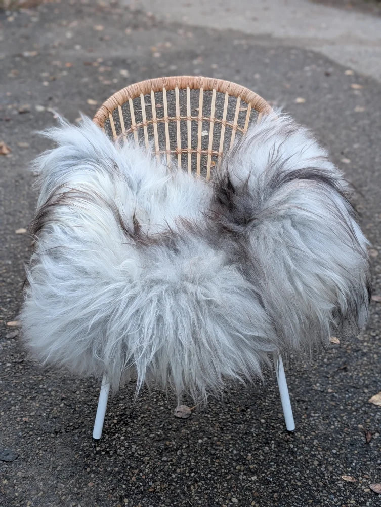 A cozy long wool icelandic grey sheepskin throw draped over a wicker chair with white legs perfect for snuggling