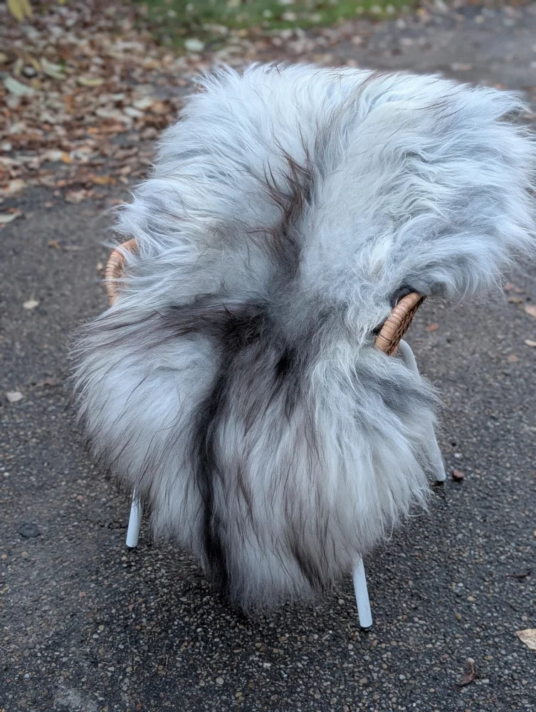 A plush long wool icelandic sheepskin rug in natural grey draped over a wicker chair with white legs