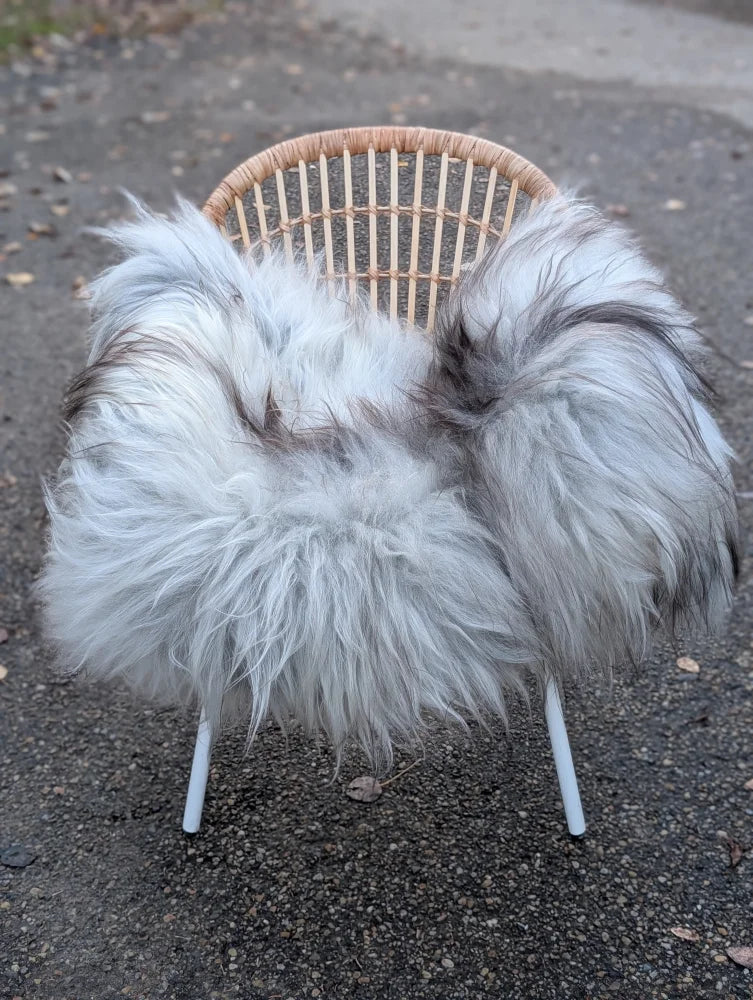 A cozy long wool icelandic grey sheepskin throw draped over a woven wicker chair with white legs