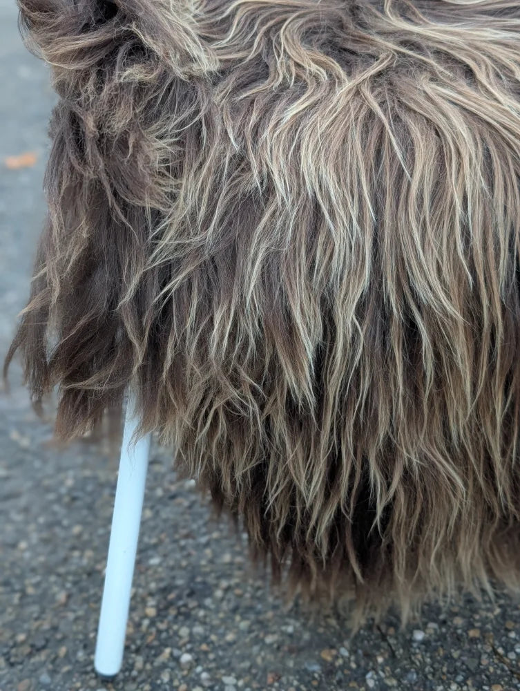 A fluffy long wool icelandic sheepskin in dark rusty icelandic brown and light tan perfect for cozy decor