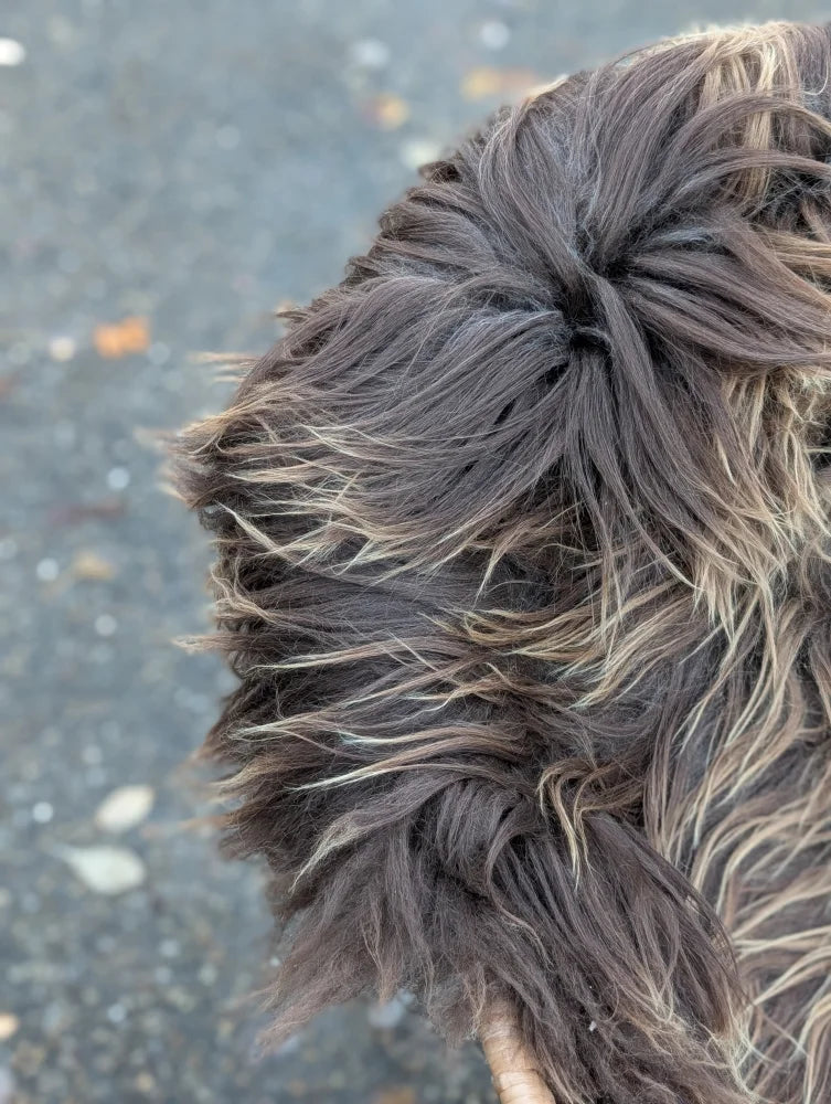 Fluffy dark rusty icelandic sheepskin tail with long wool and wavy fur on the back side of ice78 massive bronze Icelandic sheepskin