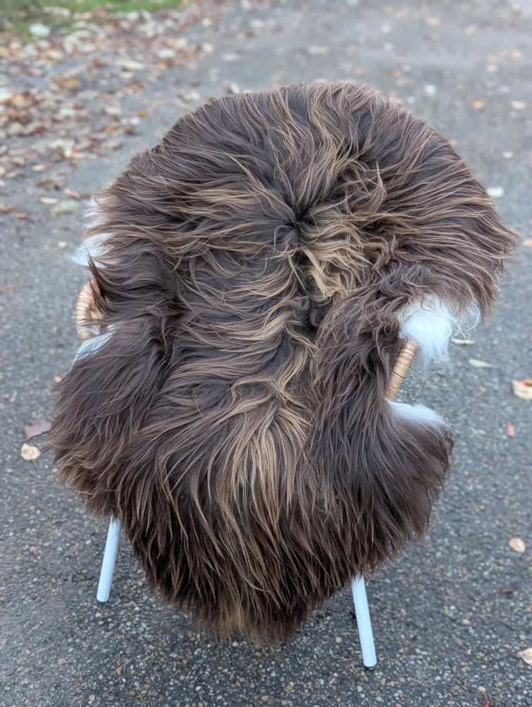A plush dark rusty icelandic sheepskin rug with long wool draped over a minimalist chair with white legs