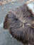 A fluffy long wool icelandic dog resting on a massive natural bronze dark rusty icelandic sheepskin rug 59 x 38 inches