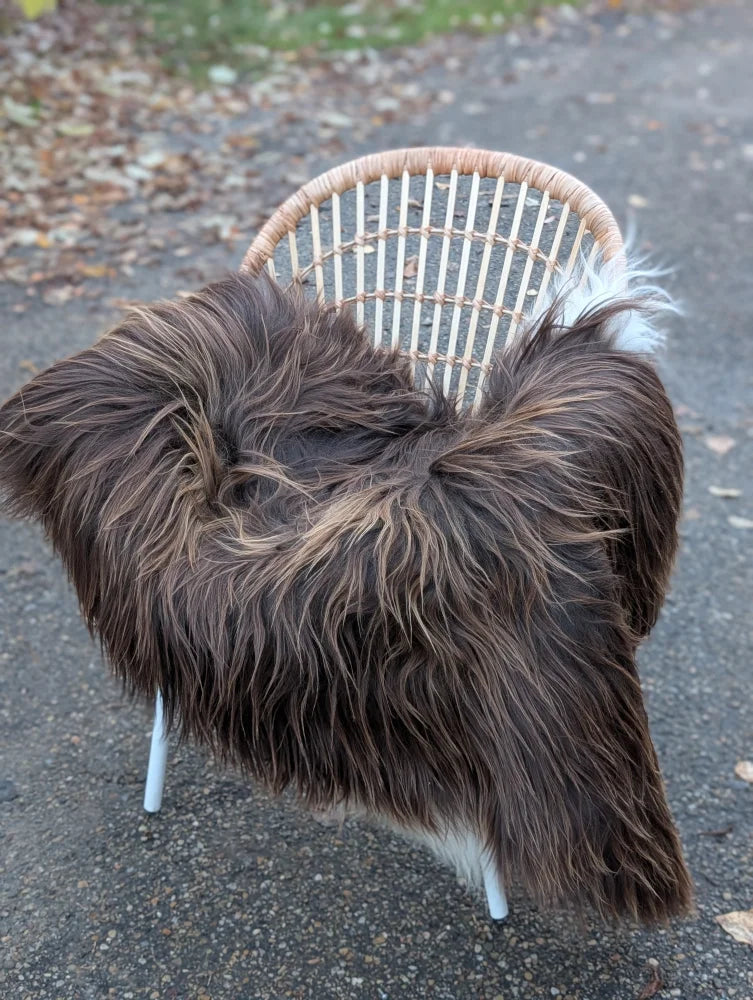 A fluffy dog with a dark rusty icelandic coat sits on a woven chair showcasing a massive natural bronze long wool icelandic sheepskin