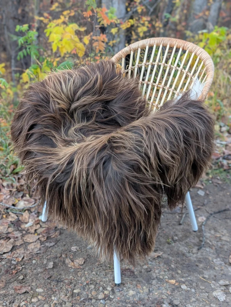 A massive natural bronze icelandic sheepskin throw in wool icelandic style draped over a wicker chair
