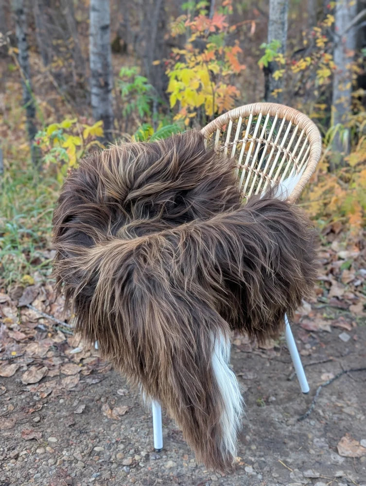 A thick shaggy brown and white wool icelandic sheepskin throw draped over a wicker chair for cozy use