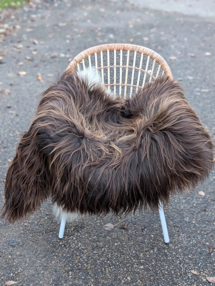 Cozy thick dark rusty icelandic sheepskin throw with long wool draped over white-legged wicker chair