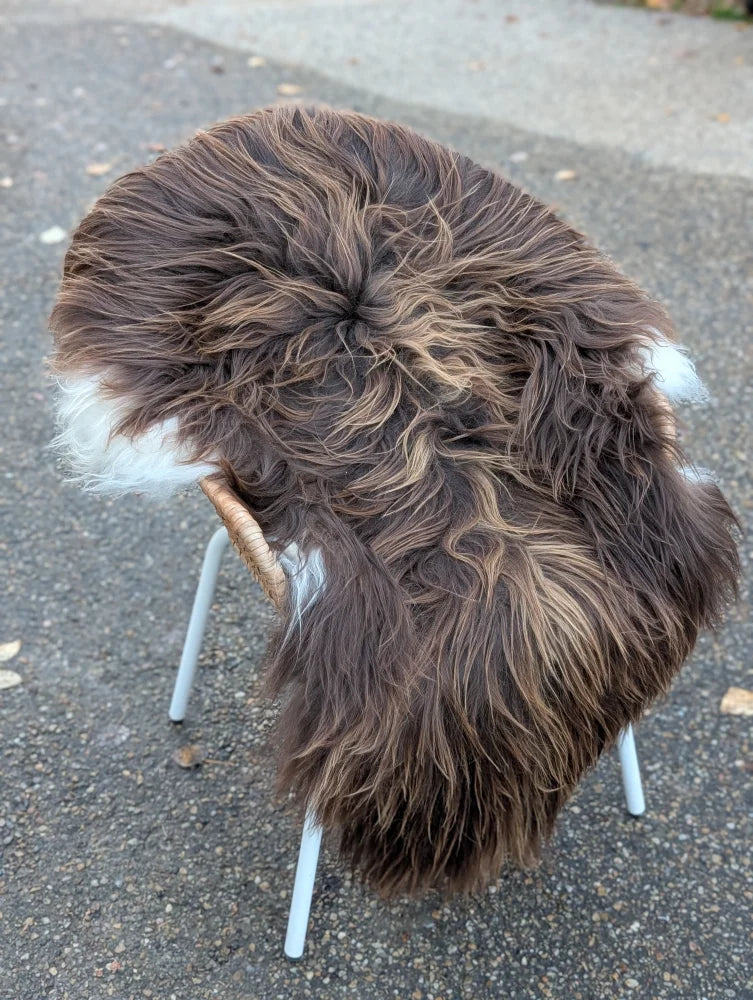 A massive natural bronze icelandic sheepskin with long wool draped over a minimalist metal chair