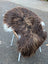 A massive natural bronze icelandic sheepskin with long wool draped over a minimalist metal chair