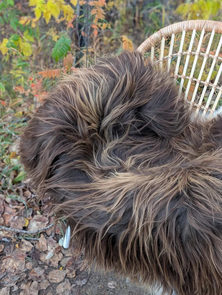 A fluffy long-haired dog sits next to a massive natural bronze icelandic sheepskin 59 by 38 inches outdoors near wicker chair