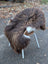 A fluffy brown and white dog sits on a woven chair with a 59x38 dark rusty icelandic sheepskin rug