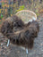 A cozy thick brown and tan wool icelandic sheepskin throw draped over a wicker chair with white metal legs