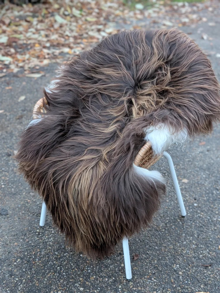 A long wool icelandic sheepskin rug in dark rusty bronze draped over a minimalist chair for cozy decor