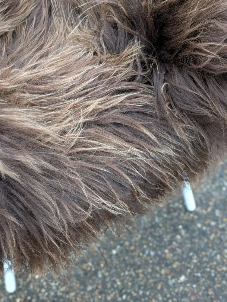 A long wool icelandic sheepskin in dark rusty colors featuring a fluffy long-haired dog resting on it