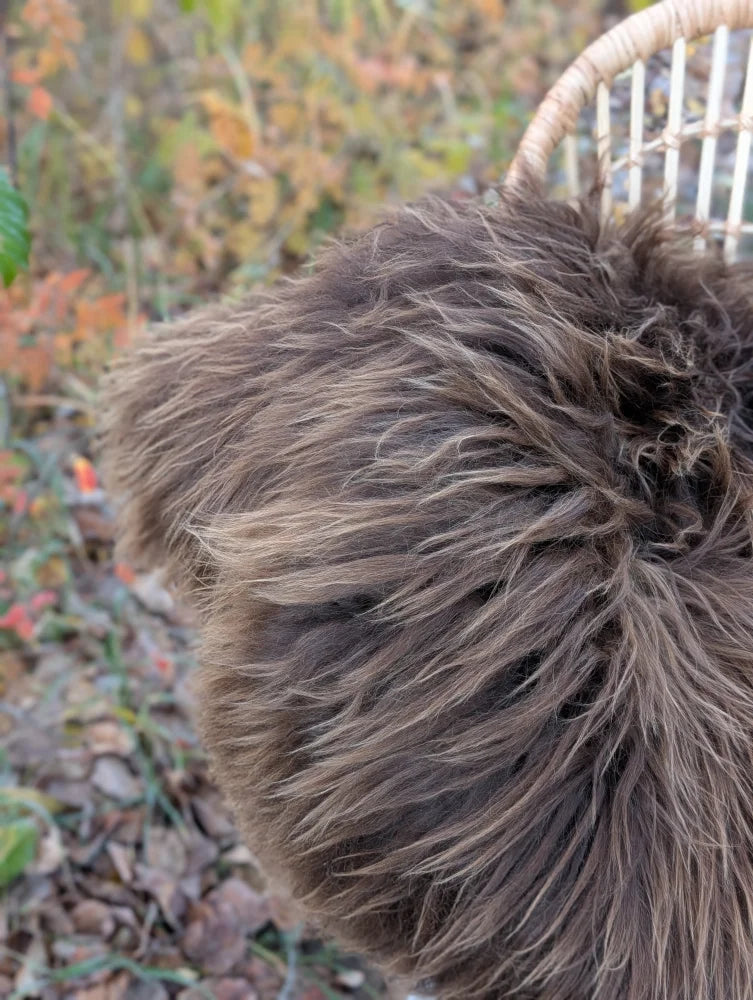 A fluffy brown dog sits near a wicker chair on a massive natural bronze icelandic sheepskin wool icelandic rug