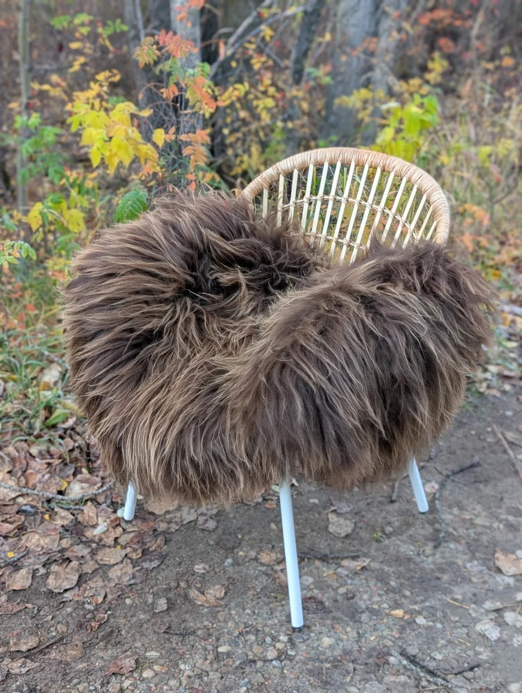 A cozy massive natural bronze icelandic sheepskin rug draped over a woven wicker chair with white metal legs