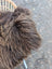 A fluffy long-haired dog on a massive natural bronze icelandic sheepskin rug with rich brown and tan wool icelandic colors