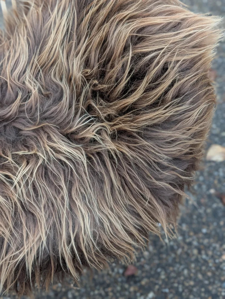 A fluffy long wool icelandic dog with dark rusty icelandic fur on a massive natural bronze icelandic sheepskin rug