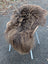A plush dark rusty icelandic sheepskin rug with long wool draped over a modern white metal chair with wicker arms