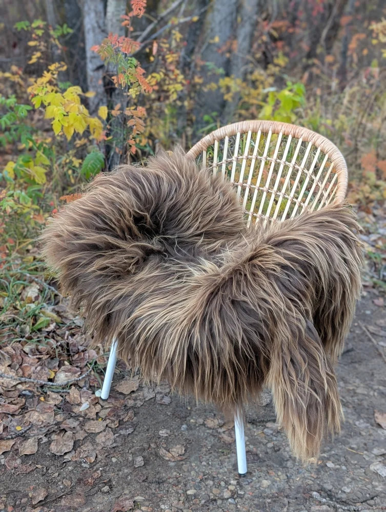 A plush long-haired brown wool icelandic sheepskin draped over a woven wicker chair with white metal legs