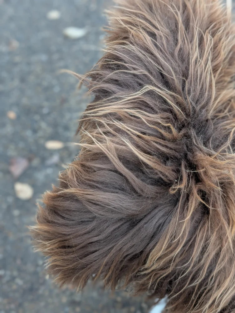 A fluffy long wool icelandic dog with dark rusty icelandic and tan fur on a massive natural bronze icelandic sheepskin