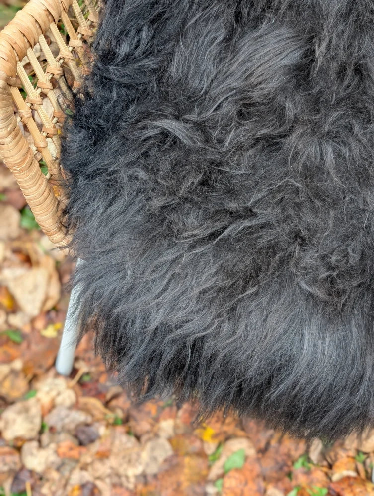 A thick dark gray long wool icelandic sheepskin rug draped over a wicker chair natural black wool icelandic