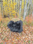 Black fluffy long wool icelandic sheepskin throw draped over light wicker chair with metal legs