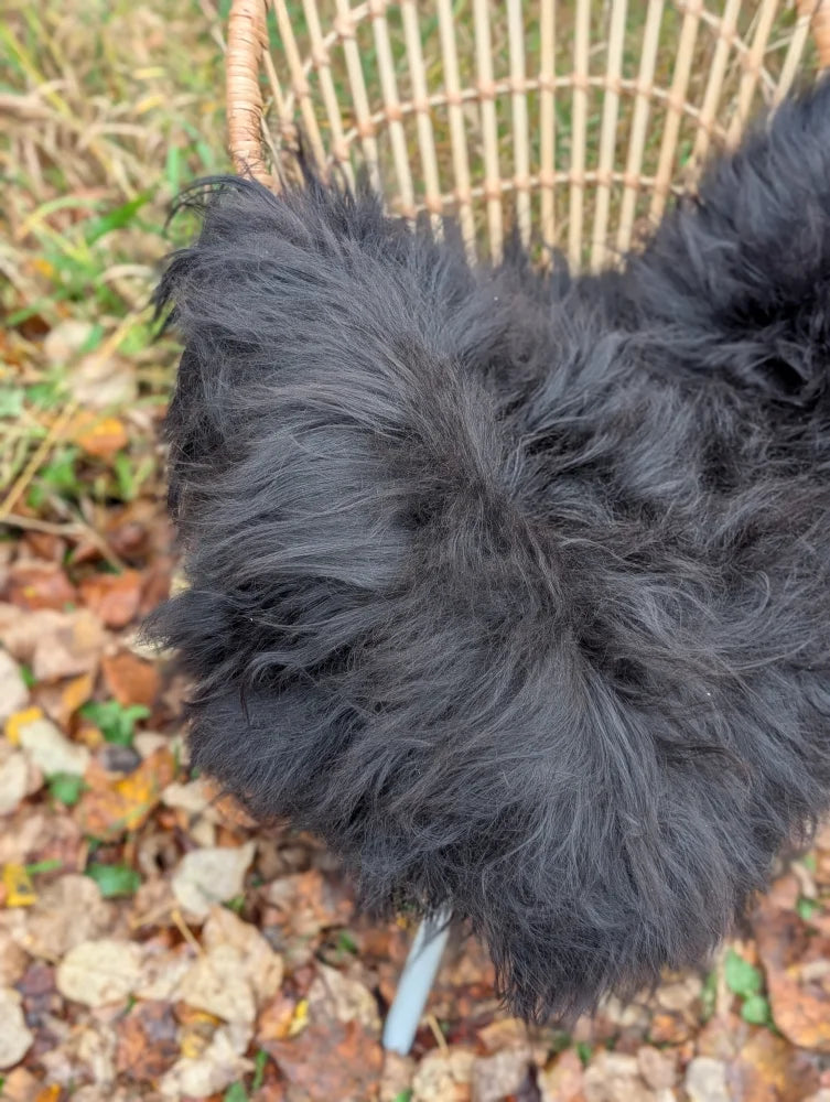 A fluffy black dog sits next to a woven basket on a long wool icelandic sheepskin rug in natural black color