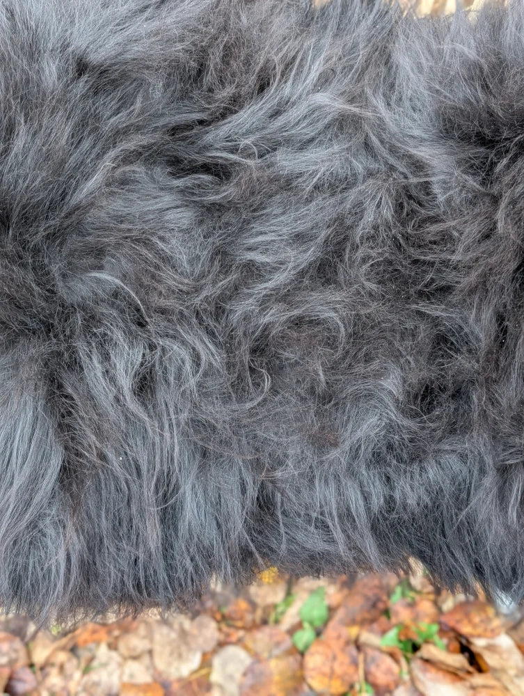 A plush dark gray long wool icelandic sheepskin blanket with thick shaggy texture for cozy warmth