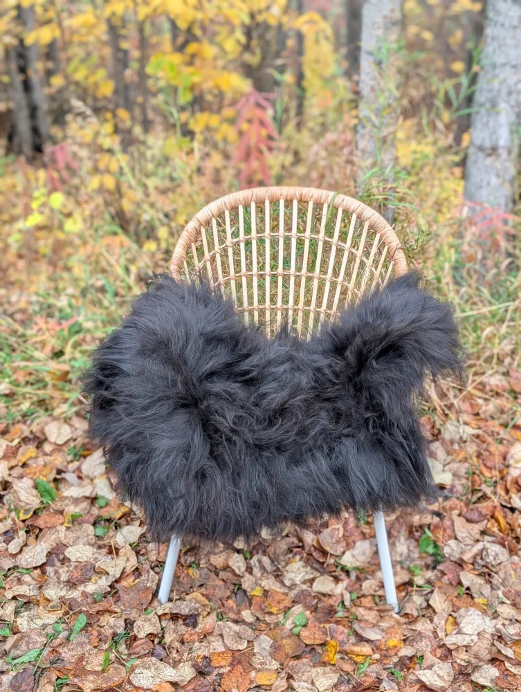 Black fluffy long wool icelandic sheepskin throw draped over wicker chair showcasing natural wool icelandic texture