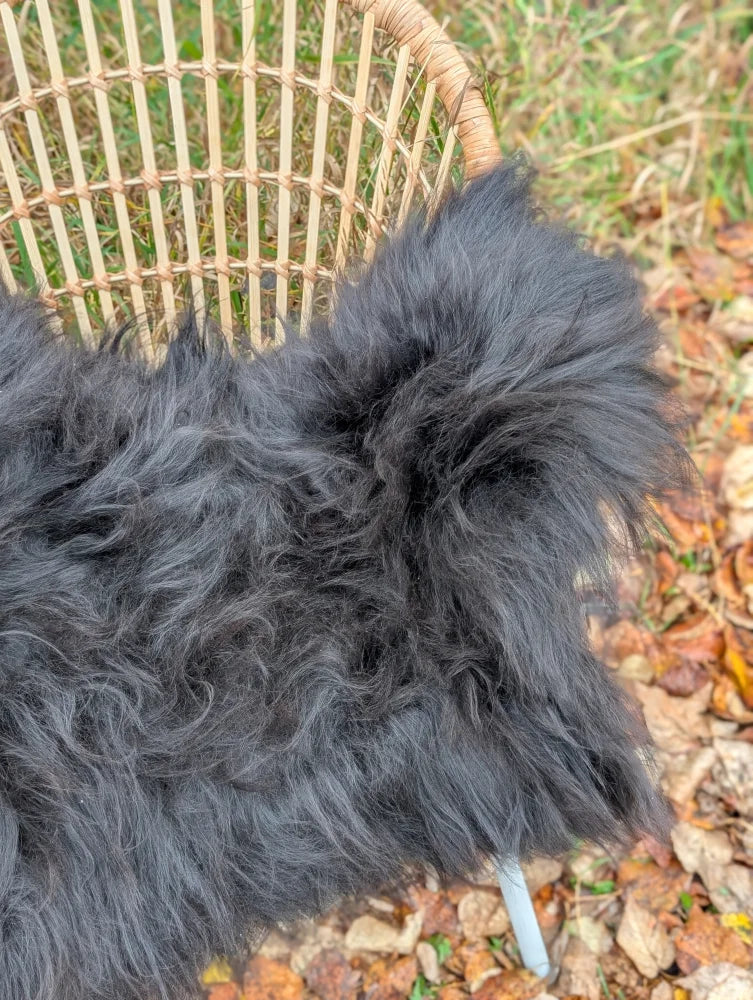 A plush dark gray wool icelandic sheepskin long wool throw draped over a wicker chair for cozy use