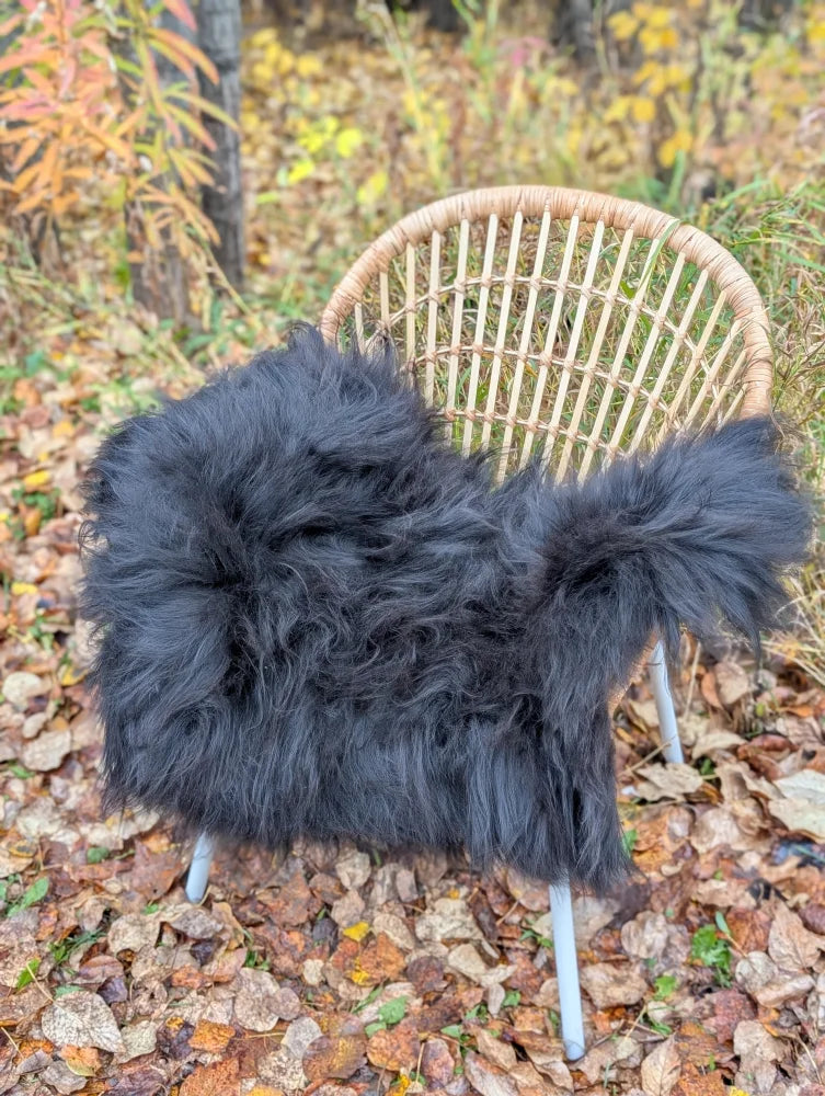 Black fluffy long wool icelandic sheepskin throw draped over a wicker chair showcasing natural wool icelandic texture