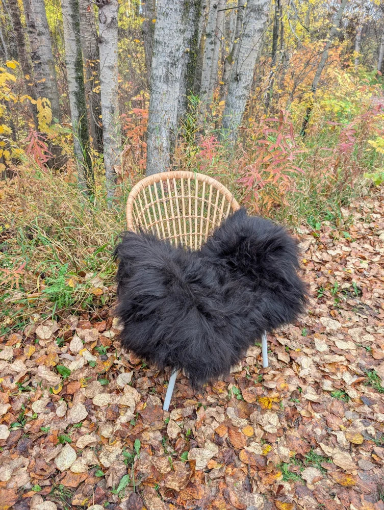 Black fluffy long wool icelandic sheepskin throw draped over wicker chair natural wool icelandic texture